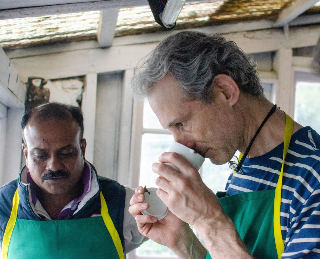 How We Source Darjeeling 1st Flush Tea