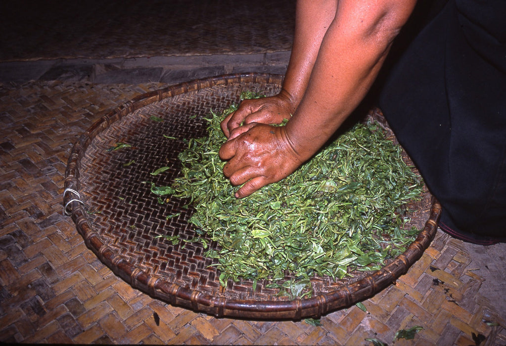 Blessed Forever Banzhai Bingcha