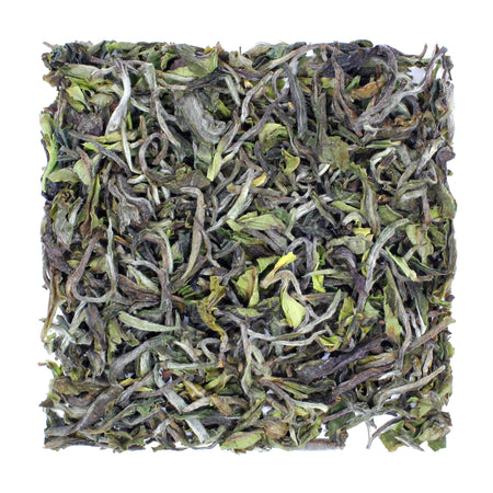 Darjeeling 1st Flush, Gopaldhara Estate 2025 - product