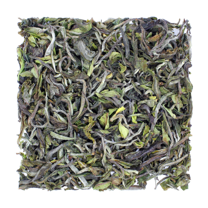 Darjeeling 1st Flush, Gopaldhara Estate 2025 - product