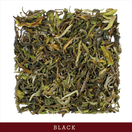 Darjeeling 1st Flush, Jungpana Estate (Wholesale)