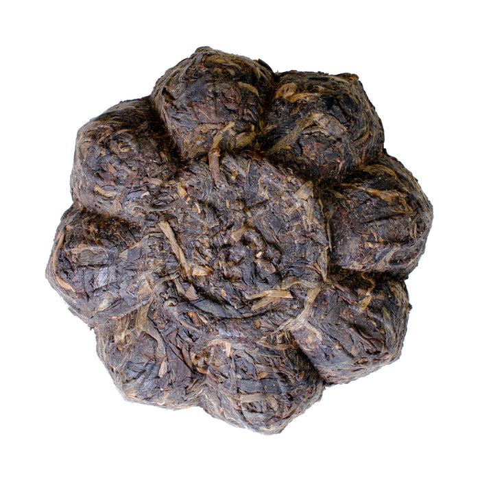 Lotus Tuocha - bottom - unwrapped