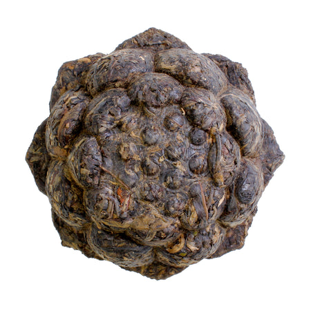 Lotus Tuocha - top - unwrapped