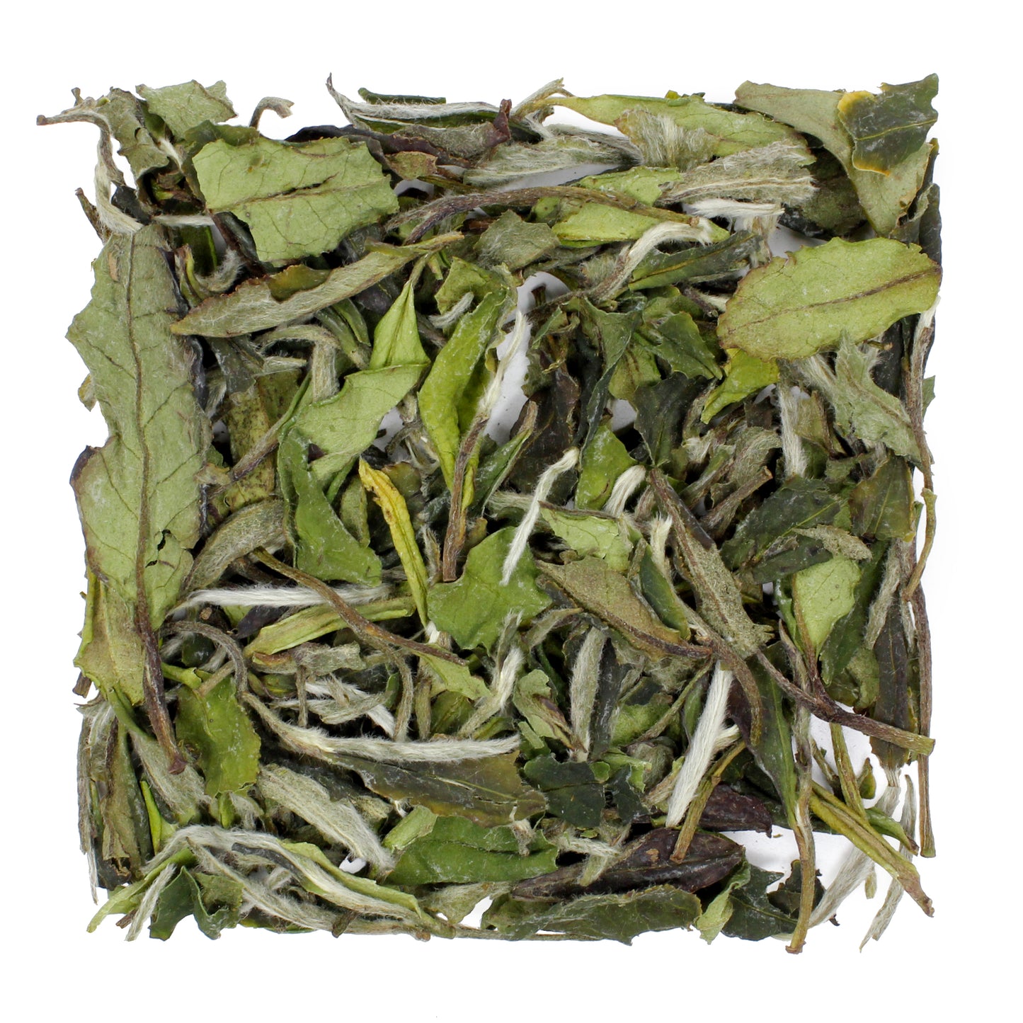 White Peony Bai Mudan - product