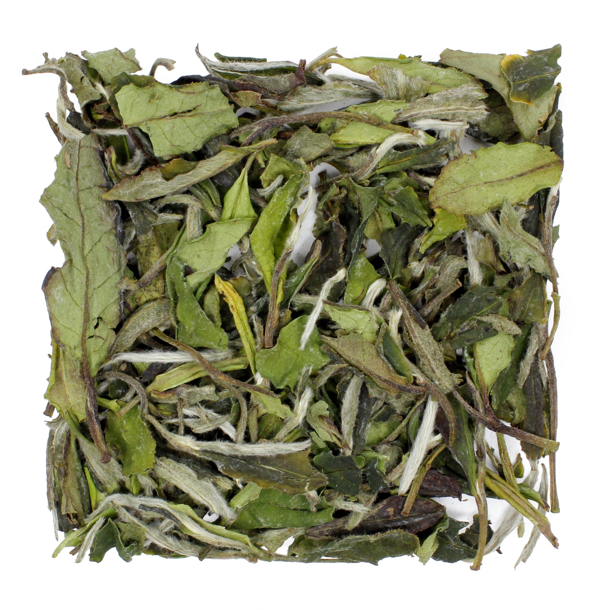 White Peony Bai Mudan - product
