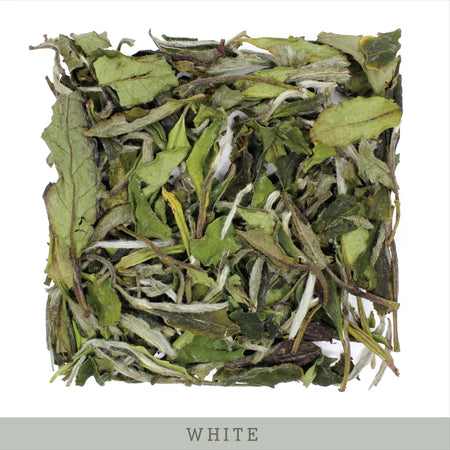 White Peony Bai Mudan - product