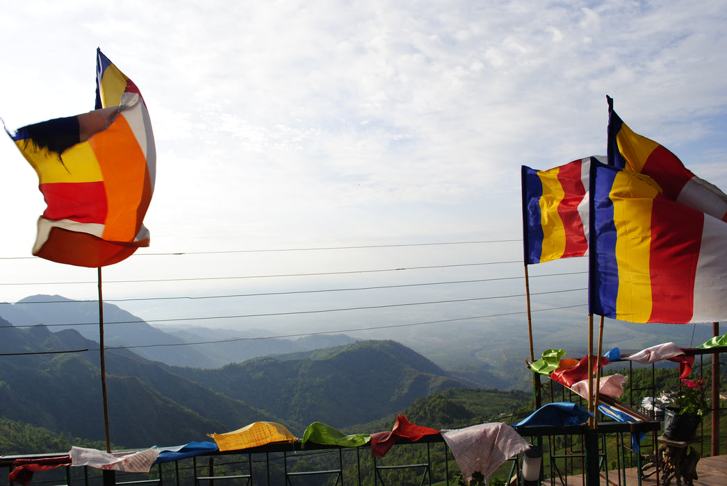 New Breakfast Black Tea Gift Set