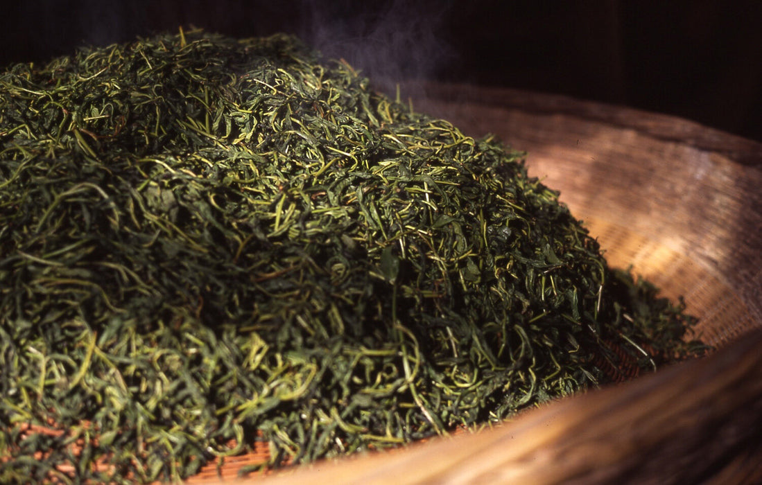 Anhui Yellow Tea Processing III