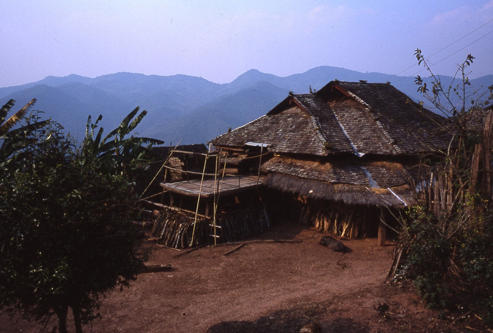 Bamboo Stick Pu-erh Tea village