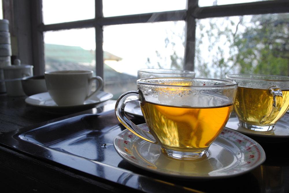 Ticket to Darjeeling 2026 1st Flush Collection
