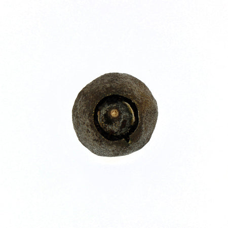 Green Tangerine Pu-erh Tea unwrapped