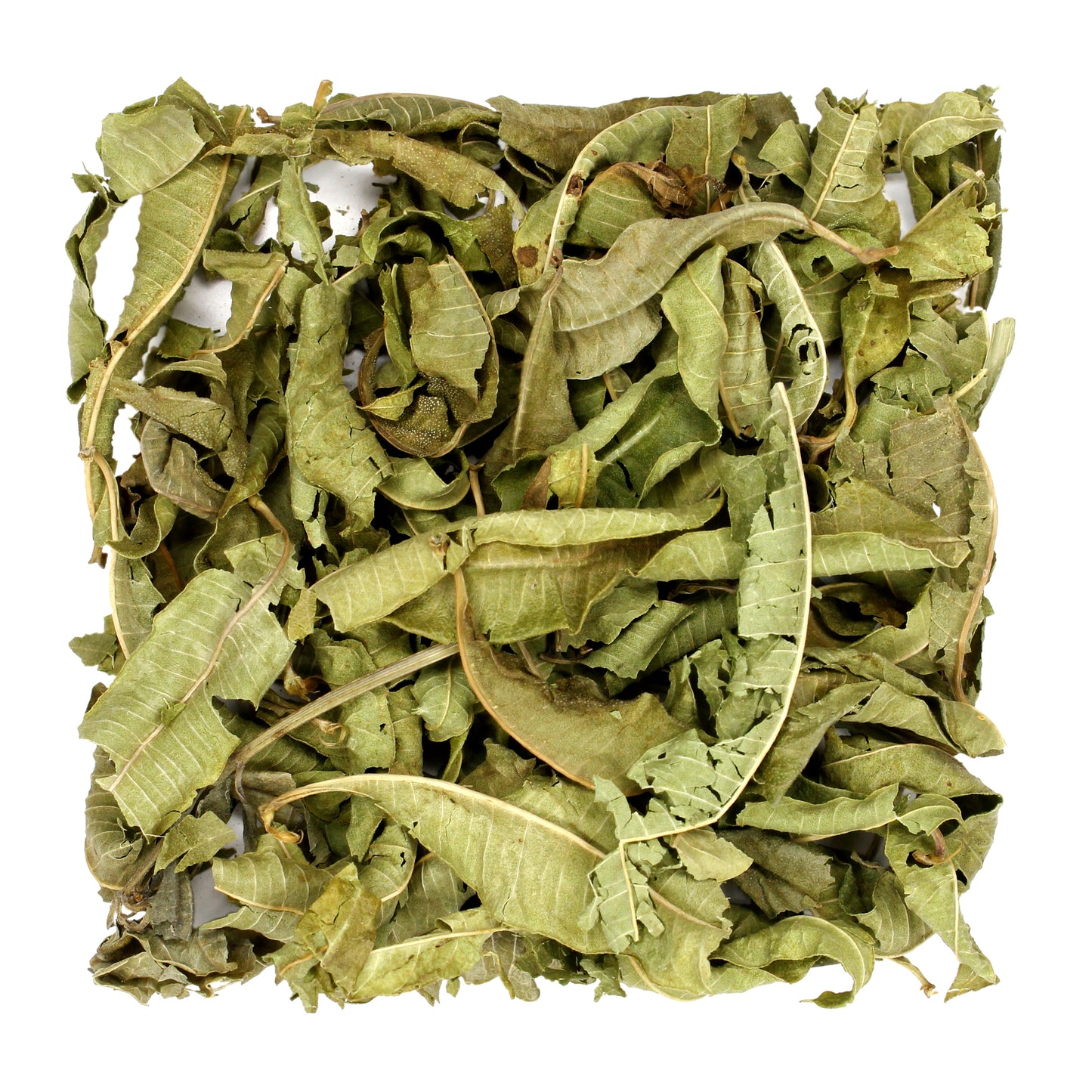 Lemon Verbena